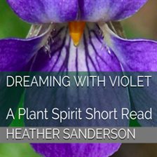 Cover image for Dreaming With Violet