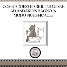 Come addestrare il tuo cane ad andare in bagno in modo pi efficace? Come addestrare il tuo cane ad andare in bagno in modo pi efficace?