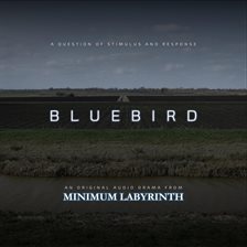 Cover image for Bluebird