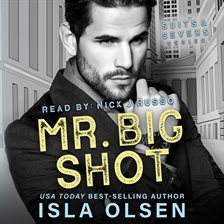 Cover image for Mr Big Shot