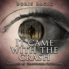 Cover image for It Came With the Crash