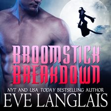 Cover image for Broomstick Breakdown