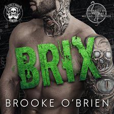 Imagen de portada para Brix