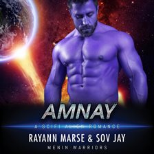 Cover image for Amnay