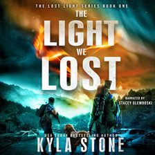 Cover image for The Light We Lost