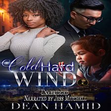 Cover image for Cold hard wind