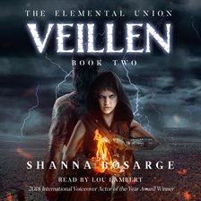 Cover image for Veillen