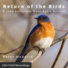 Cover image for Return of the Birds