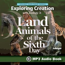 Cover image for Exploring Creation With Zoology 3