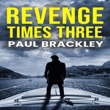 Cover image for Revenge Times Three