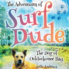 Cover image for The Adventures of Surf Dude