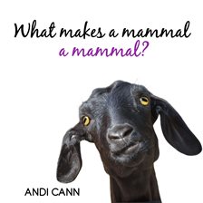 Cover image for What Makes a Mammal a Mammal?