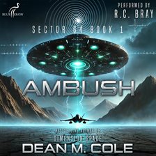 Cover image for Ambush