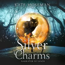 Cover image for Silver Charms