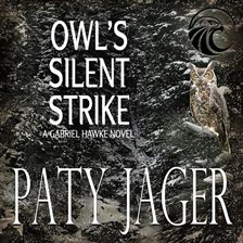 Cover image for Owl's Silent Strike