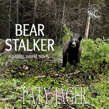Cover image for Bear Stalker