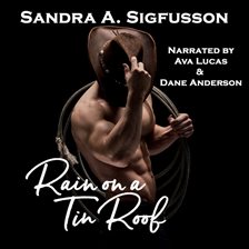 Cover image for Rain on a Tin Roof