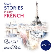 Imagen de portada para Short Stories in Easy French