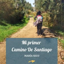 Mi primer Camino de Santiago