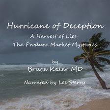 Cover image for Hurricane of Deception