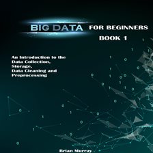 Cover image for Big Data for Beginners