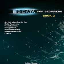 Cover image for Big Data for Beginners