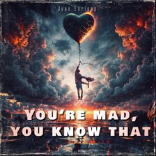 Cover image for You're Mad, You Know That