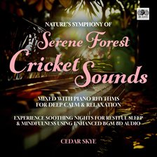 Cover image for Nature's Symphony of Serene Forest Cricket Sounds Mixed With Piano Rhythms for Deep Calm & Relaxatio