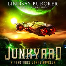 Cover image for Junkyard