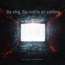 Cover image for No Sky, No Walls or Ceiling