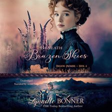 Cover image for Beneath Brazen Skies