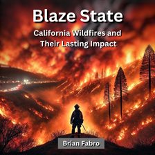 Cover image for Blaze State