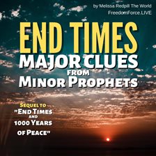 Cover image for End Times Major Clues From Minor Prophets
