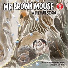 Cover image for Mr Brown Mouse and the Hail Storm