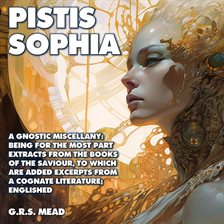 Cover image for Pistis Sophia