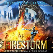 Cover image for Firestorm