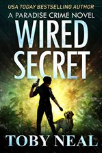 Cover image for Wired Secret