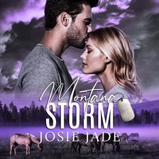 Cover image for Montana Storm