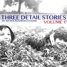 Cover image for Three Detail Stories