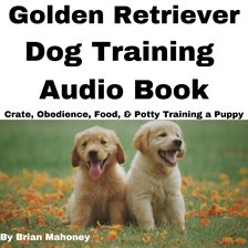Cover image for Golden Retriever Dog Training Audio Book