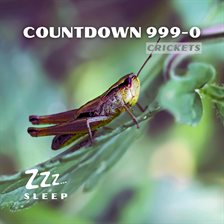 Cover image for Countdown 999-0