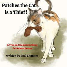 Cover image for Patches the Cat Is a Thief!