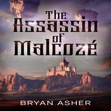 Cover image for The Assassin of Malcoze