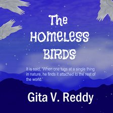 Cover image for The Homeless Birds
