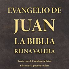 Cover image for Evangelio de Juan
