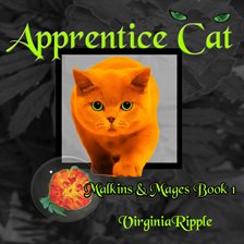 Cover image for Apprentice Cat
