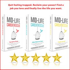 Cover image for Mid-Life Career Rescue Series Box Set