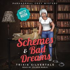 Imagen de portada para Schemes and Bad Dreams