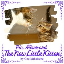 Cover image for Pic, Miron and the New Little Kitten