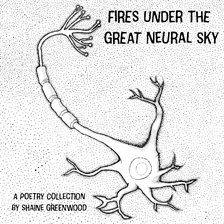 Cover image for Fires Under the Great Neural Sky
